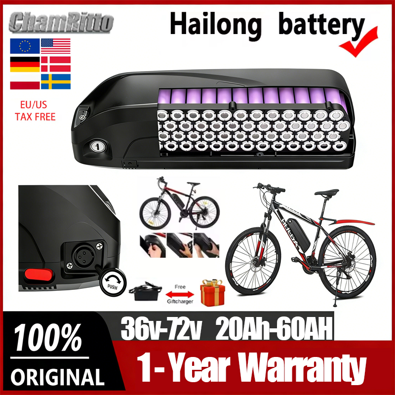36V 48v 52v Electric Bicycle H - Ebike Battery 48V 20Ah Hailong ulasan dan harga